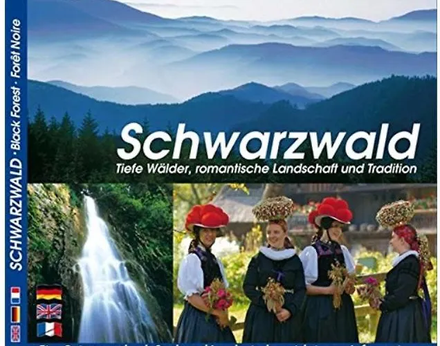 Domus Verona Europapark 20 Min * Boofzheim